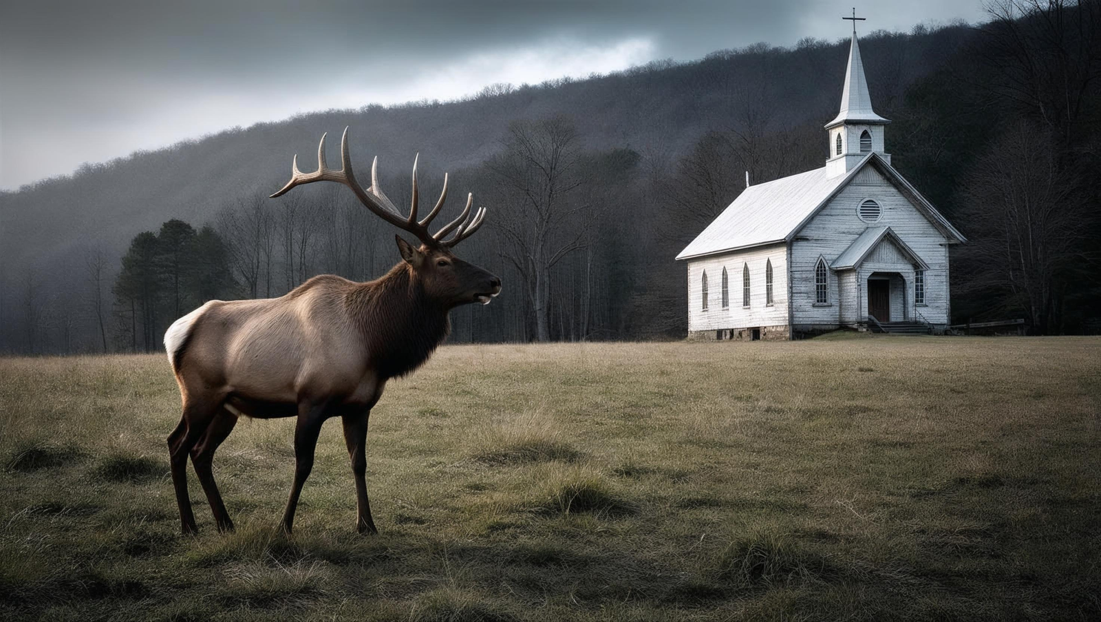 Elk standing near a rural Appalachian church beneath a mountain ridge
