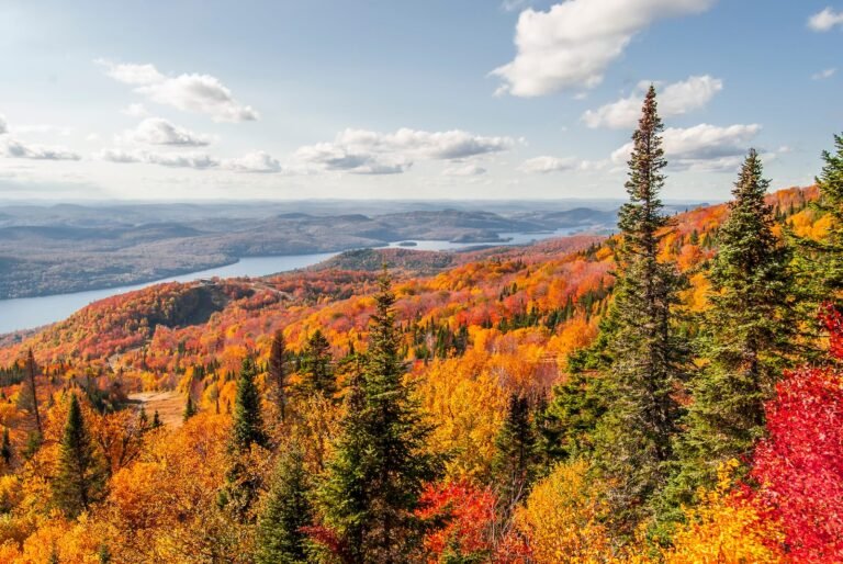 Chasing Fall Through the Appalachias: Western Maine