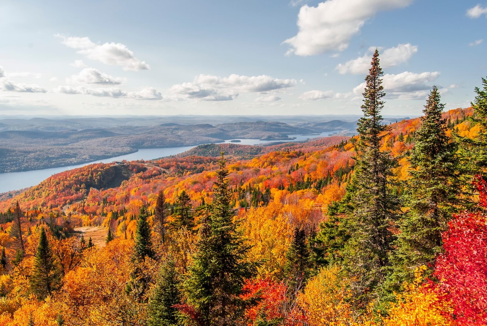 Fall foliage overlooking Mooselookmeguntic Lake from Height of Land in Western Maine
